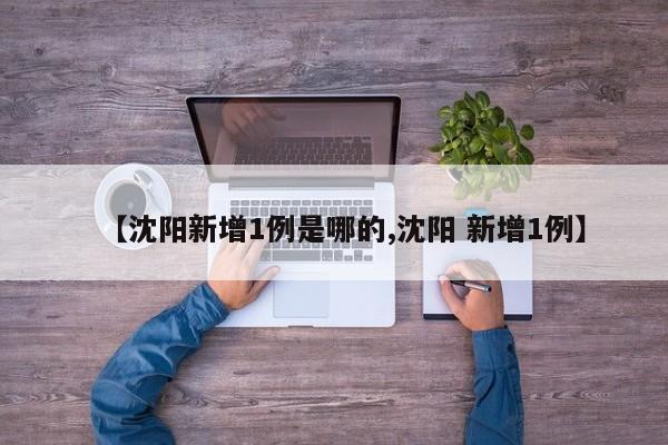 【沈阳新增1例是哪的,沈阳 新增1例】
