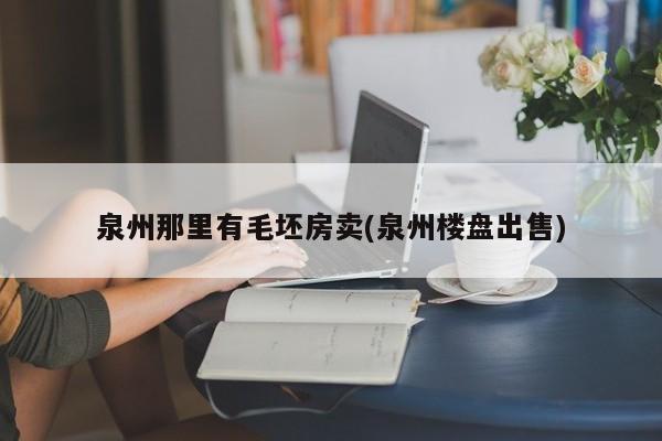 泉州那里有毛坯房卖(泉州楼盘出售)