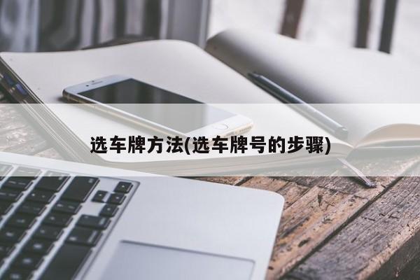 选车牌方法(选车牌号的步骤)