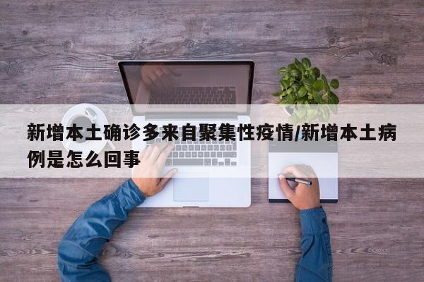 新增本土确诊多来自聚集性疫情/新增本土病例是怎么回事