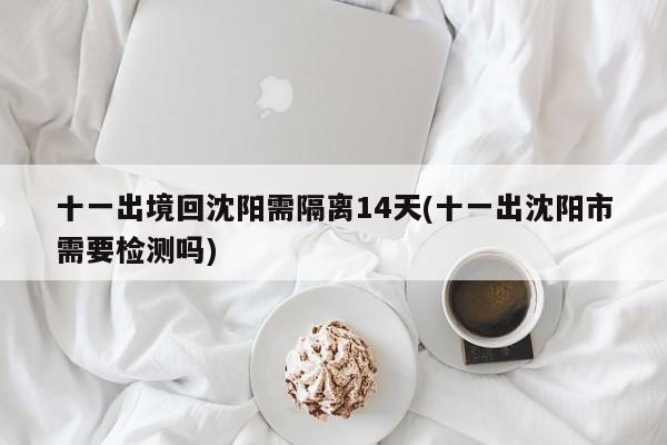 十一出境回沈阳需隔离14天(十一出沈阳市需要检测吗)