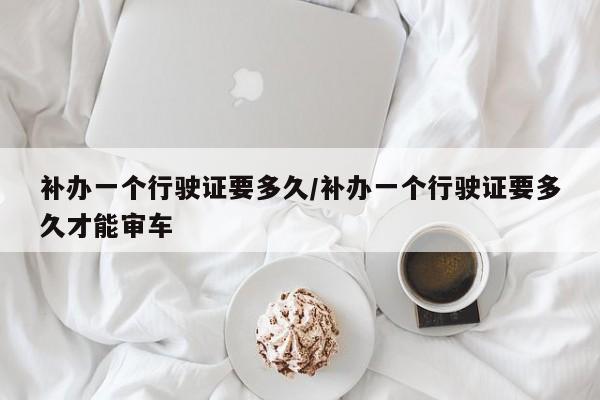 补办一个行驶证要多久/补办一个行驶证要多久才能审车