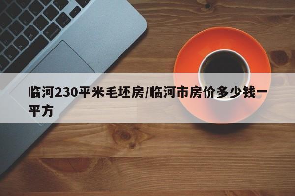 临河230平米毛坯房/临河市房价多少钱一平方