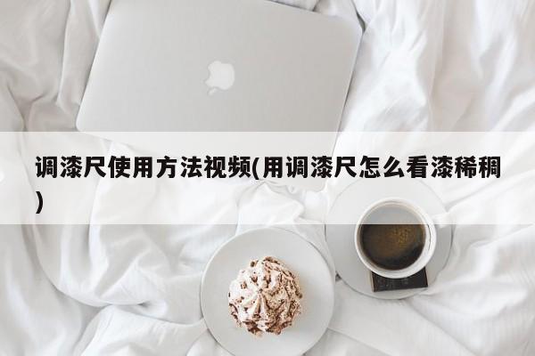 调漆尺使用方法视频(用调漆尺怎么看漆稀稠)