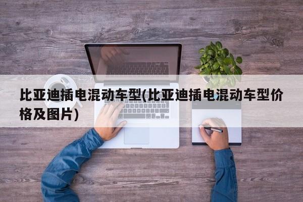 比亚迪插电混动车型(比亚迪插电混动车型价格及图片)