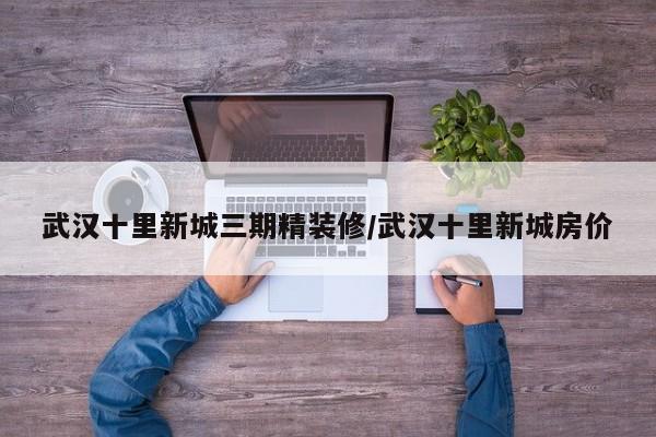 武汉十里新城三期精装修/武汉十里新城房价