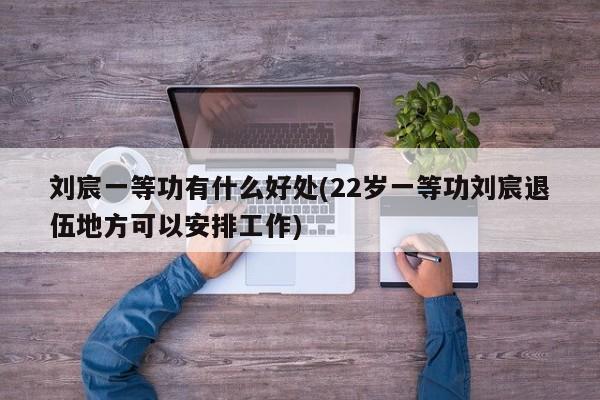 刘宸一等功有什么好处(22岁一等功刘宸退伍地方可以安排工作)