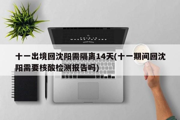 十一出境回沈阳需隔离14天(十一期间回沈阳需要核酸检测报告吗)