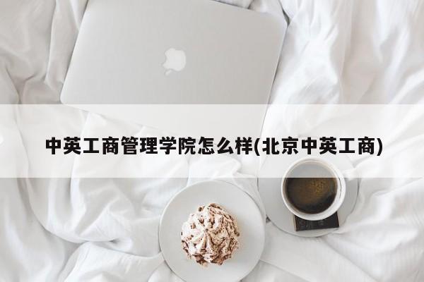 中英工商管理学院怎么样(北京中英工商)