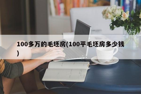 100多万的毛坯房(100平毛坯房多少钱)