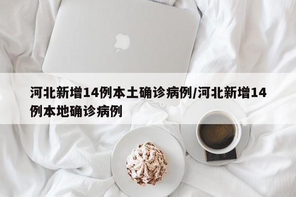 河北新增14例本土确诊病例/河北新增14例本地确诊病例