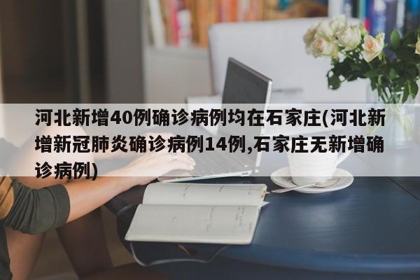 河北新增40例确诊病例均在石家庄(河北新增新冠肺炎确诊病例14例,石家庄无新增确诊病例)