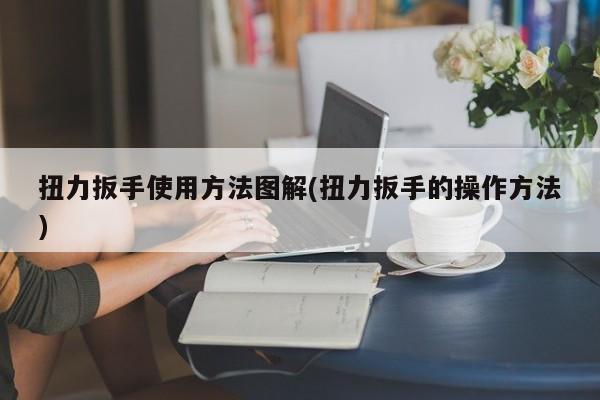 扭力扳手使用方法图解(扭力扳手的操作方法)