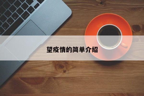 望疫情的简单介绍